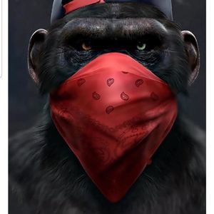 Meet your Posher, Kay